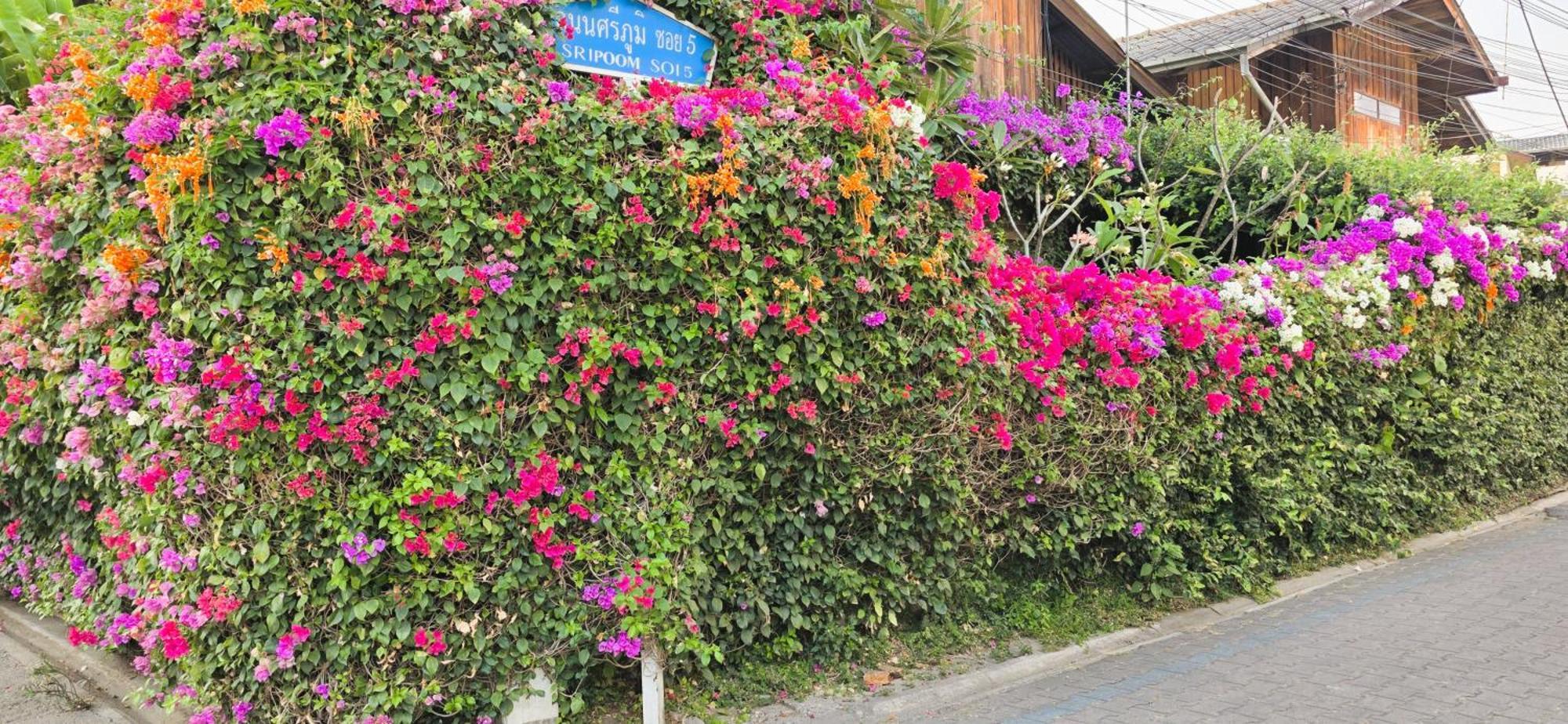 Siriwan Hostel Chiang Mai Dış mekan fotoğraf