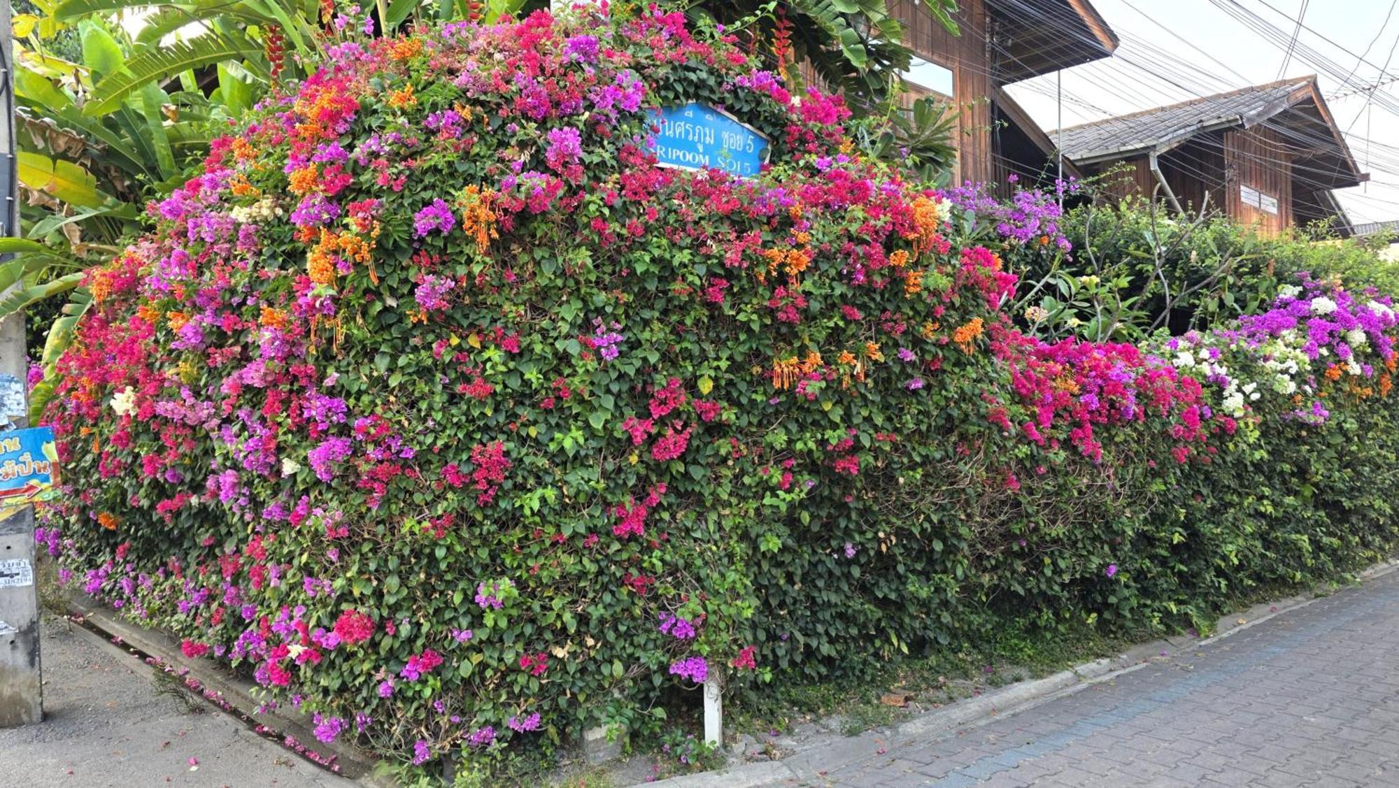 Siriwan Hostel Chiang Mai Dış mekan fotoğraf