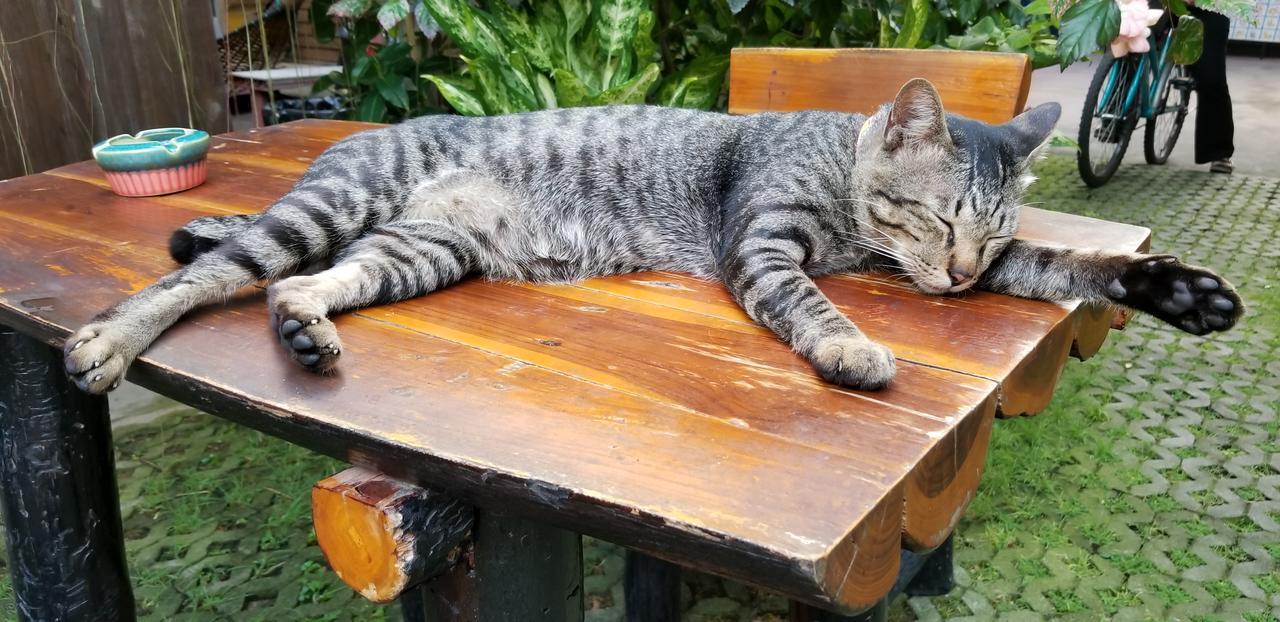 Siriwan Hostel Chiang Mai Dış mekan fotoğraf